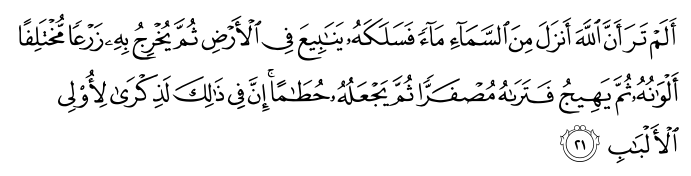 Al Quran English Translation Surah Az Zumar