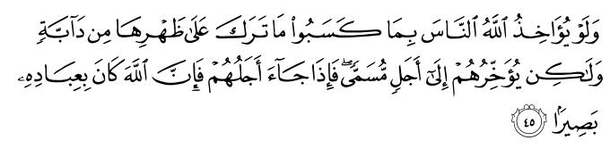 Surat surah yasin muka al dalam quran Yasin Muka